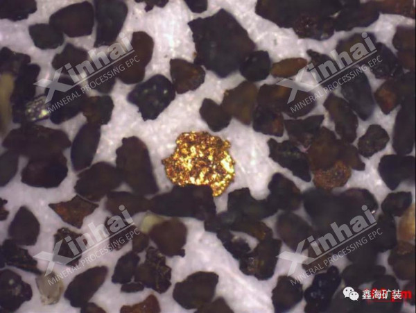 顯微鏡下的樣品金顆粒 顯微鏡下的樣品金顆粒